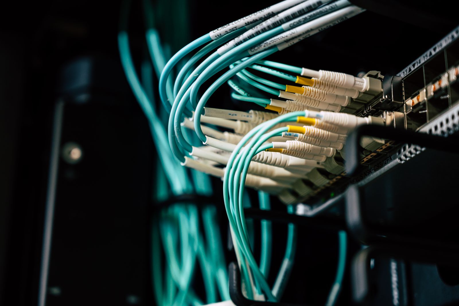 Network cables plugged into a switch